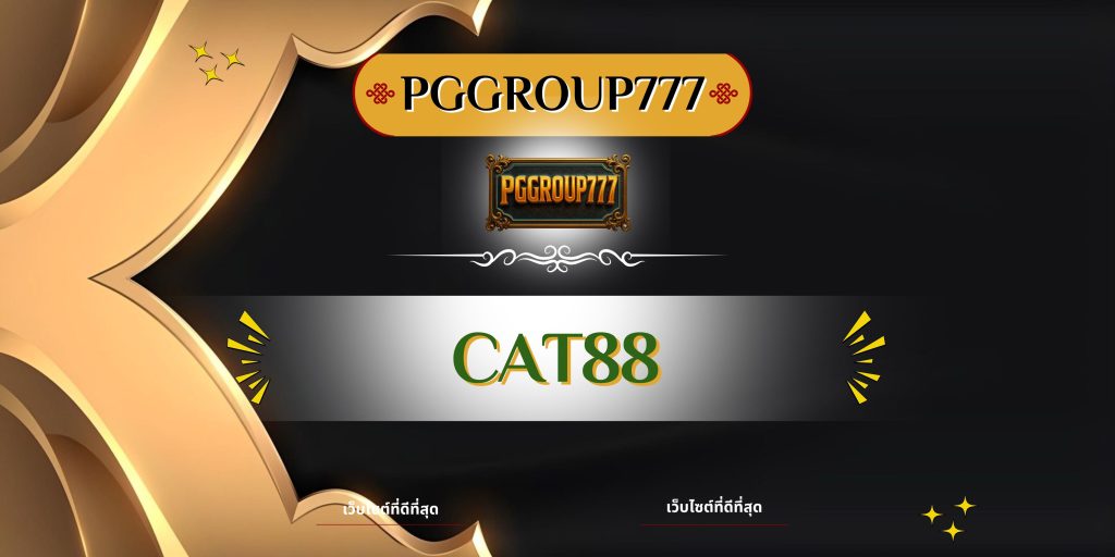 cat888